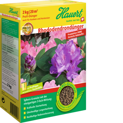 Rhododendrond nger